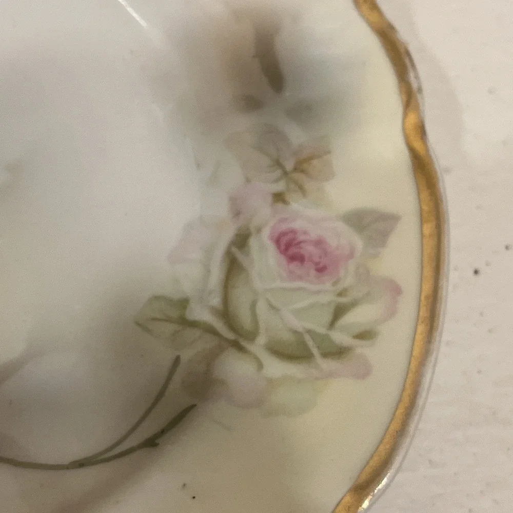 Antique Germany Porcelain Plate Large Pink & White Cabbage Roses, 6